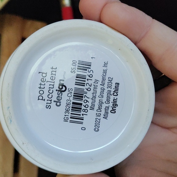 Planter for teacher with faux succulent - Picture 5 of 10